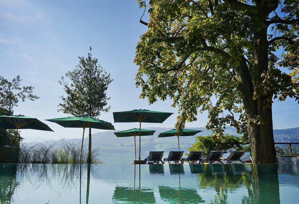 Seerose Resort & Spa Meisterschwanden Екстериор снимка
